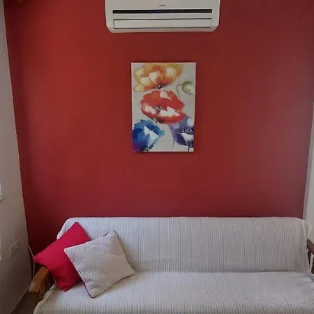 Pahljina * Palit